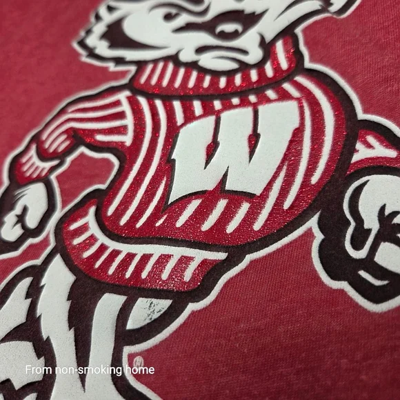 Women's Gressbox Red Wisconsin Badgers Short Sleeve Tee XL - Picture 4 of 7
